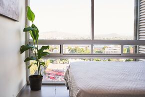 Dodo Horizontes Chapultepec