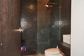 Dodo Horizontes Chapultepec