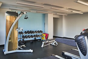 Dodo Horizontes Chapultepec