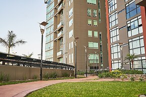 Dodo Horizontes Chapultepec