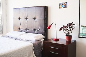 Dodo Horizontes Chapultepec