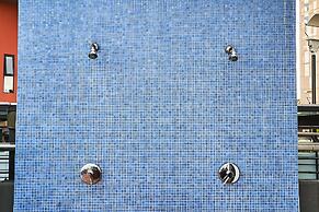 Dodo Horizontes Chapultepec