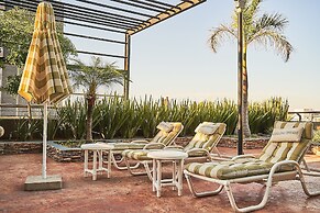 Dodo Horizontes Chapultepec