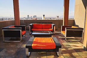 Dodo Horizontes Chapultepec