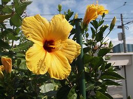 Rental Villa Lana Waioli