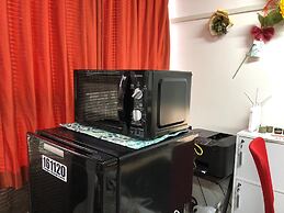 Almas Guest House - Hostel