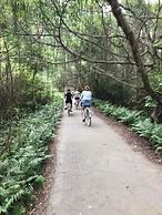 Aroma Cat Ba sea view hotel