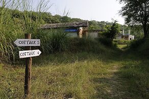 Trees & Tigers
