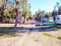 Camping la Naranja