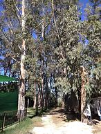 Camping la Naranja