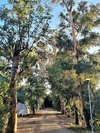 Camping la Naranja