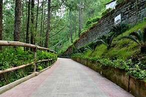 Kasauli Hills Resort