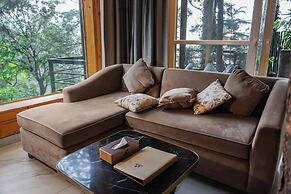 Kasauli Hills Resort