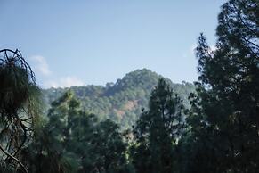 Kasauli Hills Resort