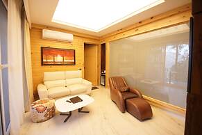 Kasauli Hills Resort