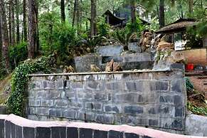 Kasauli Hills Resort