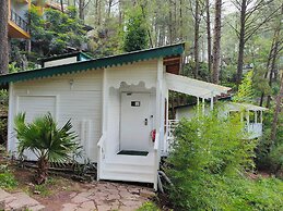 Kasauli Hills Resort