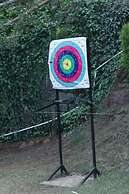 Kasauli Hills Resort