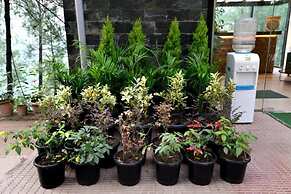 Kasauli Hills Resort