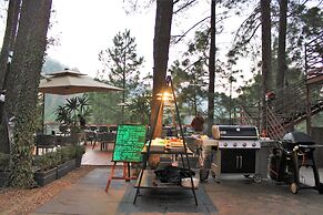 Kasauli Hills Resort