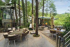 Kasauli Hills Resort