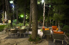 Kasauli Hills Resort