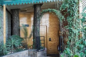 Kasauli Hills Resort