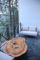 Kasauli Hills Resort
