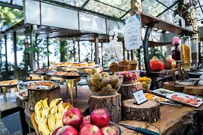 Kasauli Hills Resort