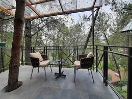 Kasauli Hills Resort