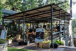 Kasauli Hills Resort