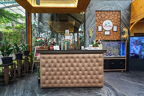 Kasauli Hills Resort