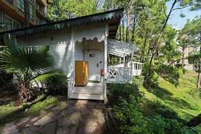 Kasauli Hills Resort