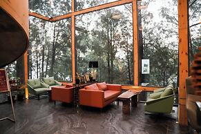 Kasauli Hills Resort