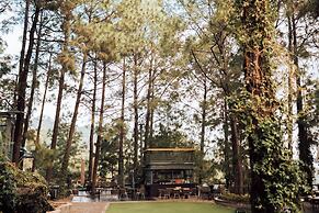 Kasauli Hills Resort