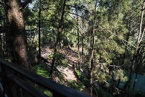 Kasauli Hills Resort