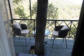 Kasauli Hills Resort