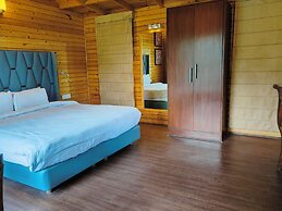 Kasauli Hills Resort