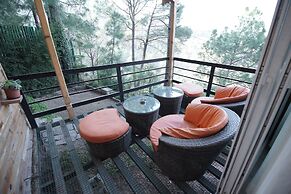Kasauli Hills Resort