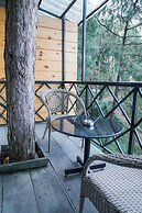 Kasauli Hills Resort