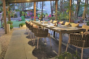 Kasauli Hills Resort