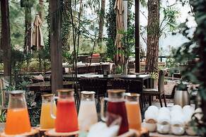 Kasauli Hills Resort