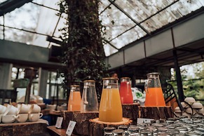 Kasauli Hills Resort