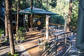 Kasauli Hills Resort