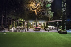 Kasauli Hills Resort