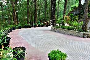 Kasauli Hills Resort
