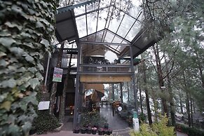 Kasauli Hills Resort