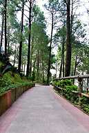 Kasauli Hills Resort