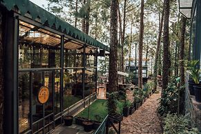 Kasauli Hills Resort