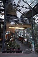 Kasauli Hills Resort